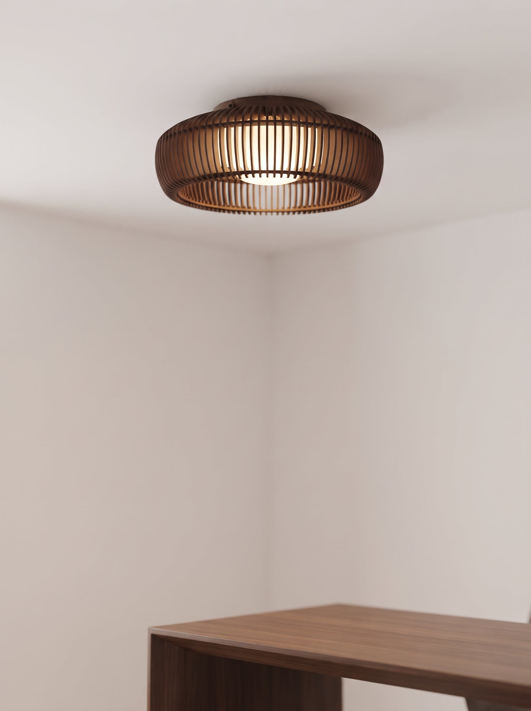Ceiling Light