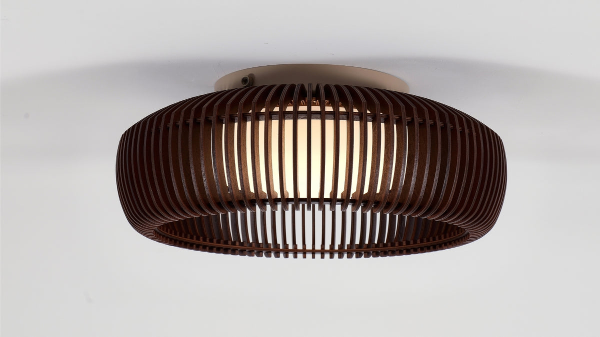 Ceiling lights