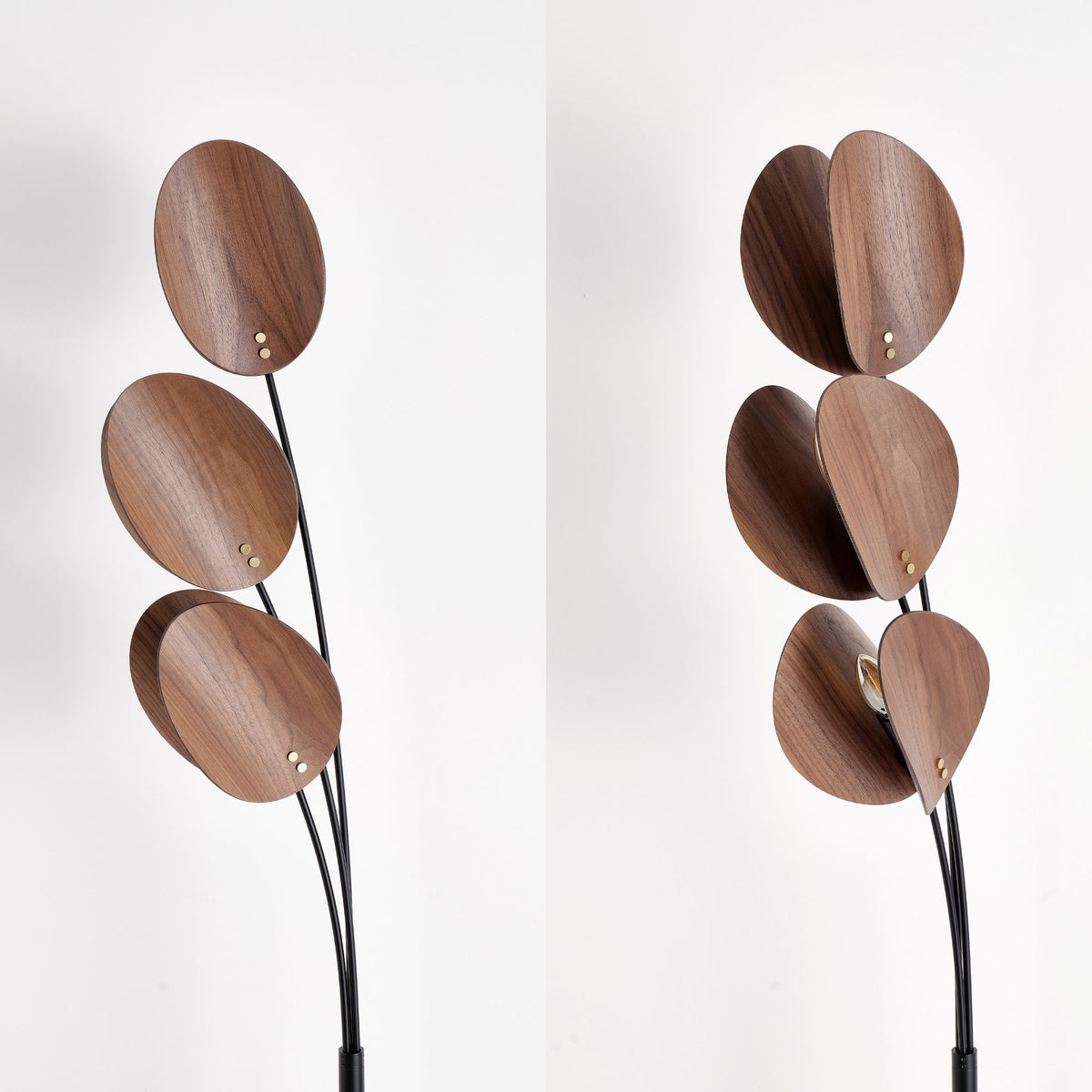 Coconut Floor Light 03